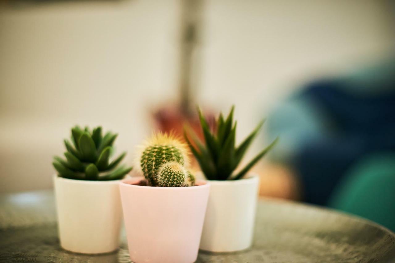 Self Check-In Cozy Stylish Flat By Vaci Street Apartment Budapest Bagian luar foto